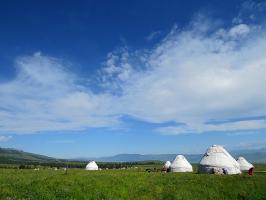 Naraty Grassland
